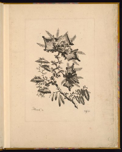 Print by Unbekannt