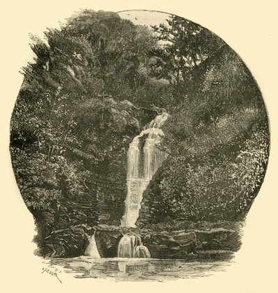 Pyrddin Falls, Vale of Neath, 1898 by Unbekannt