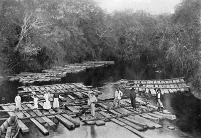 Rafts on the Tebicuary-mi River, Paraguay by Unbekannt