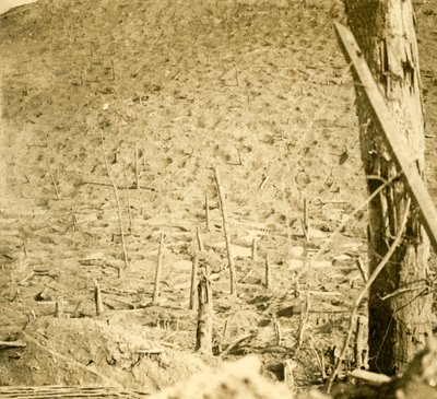 Ravine at Les Éparges, Northern France by Unbekannt