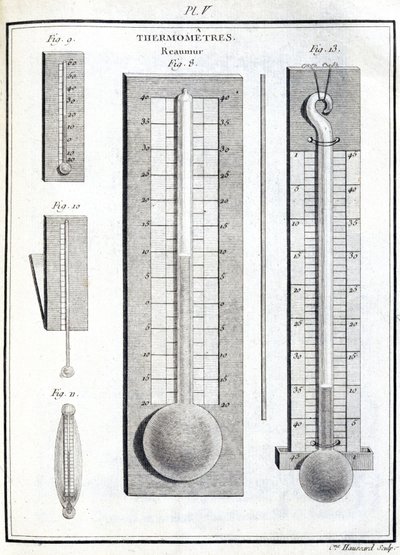 Reaumur Thermometers by Unbekannt