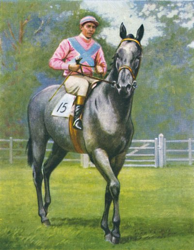 Rogerstone Castle, Jockey: E. C. Elliott by Unbekannt