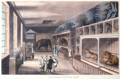 Royal Menagerie, Exeter Change, Strand, London, c. 1820 by Unbekannt