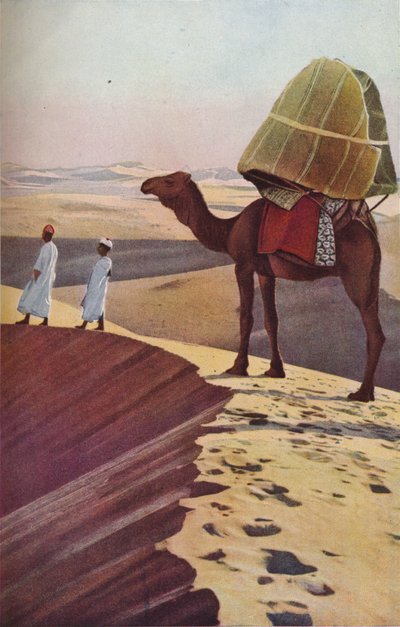Sahara by Unbekannt