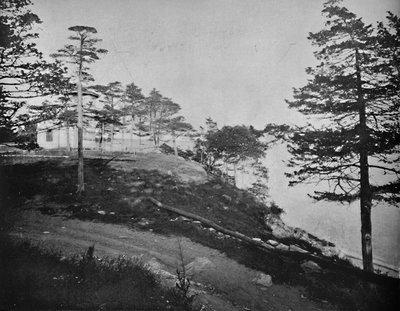 Savin Rock, New Haven, Connecticut by Unbekannt