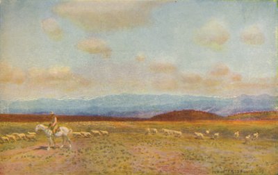 Scene in the Australian Middle Lowlands by Unbekannt