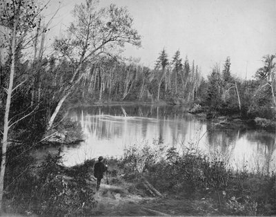 Scene on Peshtigo River, Wisconsin by Unbekannt