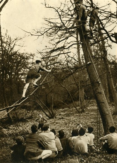 Scouts Practising Pioneering by Unbekannt