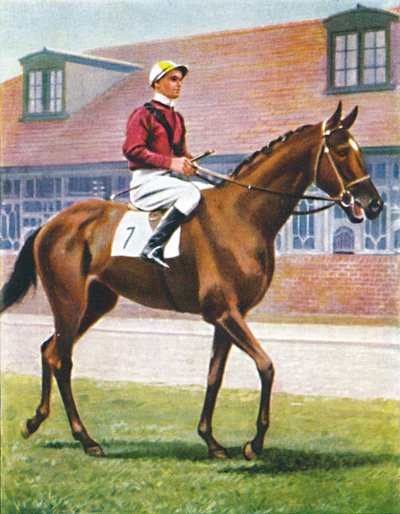 Senor, Jockey: J. Crouch, 1939 by Unbekannt