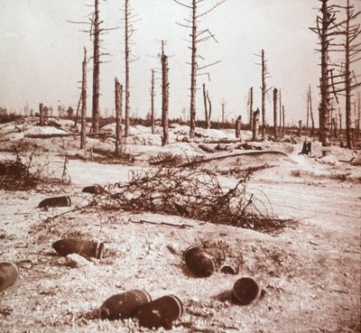 Shells, Verdun, northern France, c1914-c1918 by Unbekannt