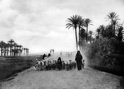 Shepherding Sheep near Cairo, Egypt, c1920s by Unbekannt