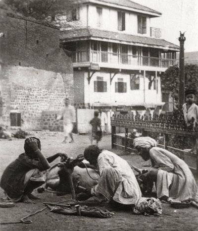 Shoeing a Bullock, India by Unbekannt