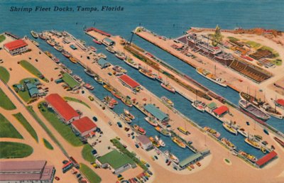 Shrimp Fleet Docks, Tampa, Florida by Unbekannt