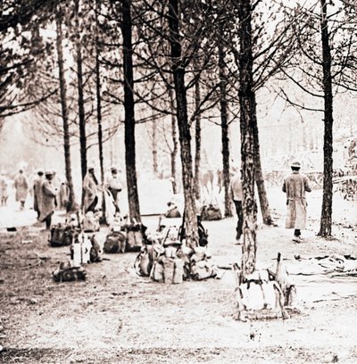 Soldiers and packs in woods, c1914-c1918 by Unbekannt