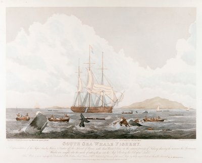 South Sea Whale Fishery by Unbekannt