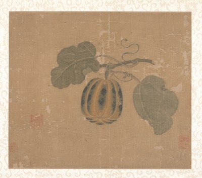 Squash by Unbekannt