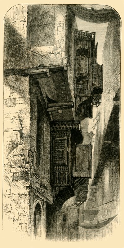 Street in Cairo, 1881 by Unbekannt