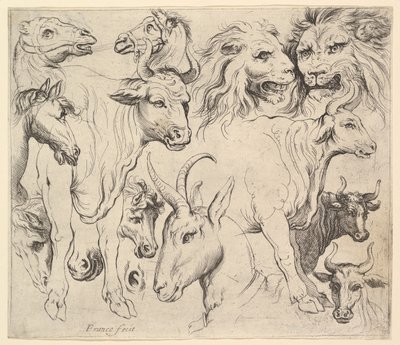 Studies of Heads by Unbekannt