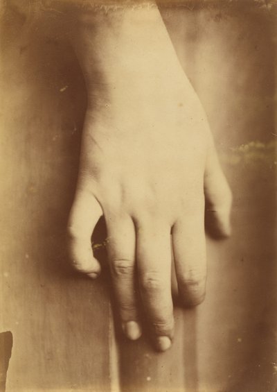 Study of a Hand by Unbekannt