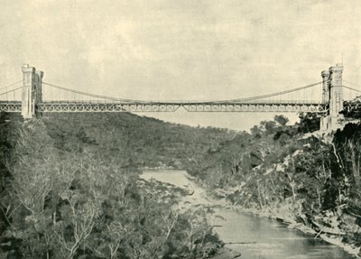 Suspension Bridge, North Sydney, 1901 by Unbekannt