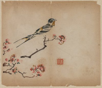 Swallow on Flowering Peach Branch by Unbekannt