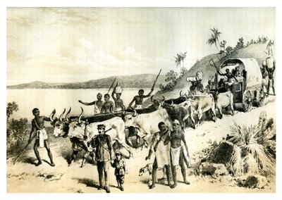 The Arrival at Lake Ngami, 1883 by Unbekannt