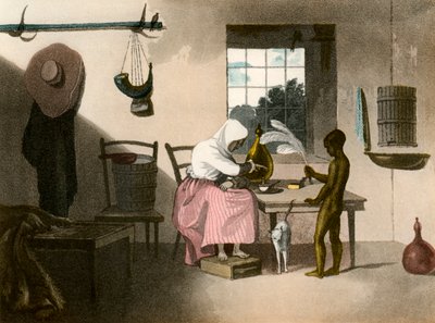 The Boer Farmer