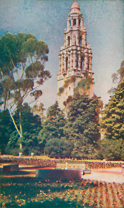 The California Tower by Unbekannt