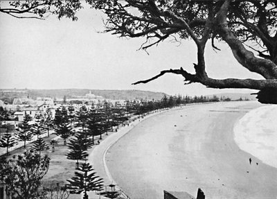The Esplanade, Manly Beach, c1900 by Unbekannt