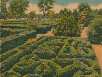 The Flower Garden, general view, 1946 by Unbekannt