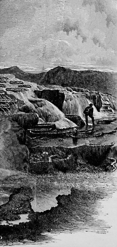 The Hot Springs near Gardiners River, 1883 by Unbekannt