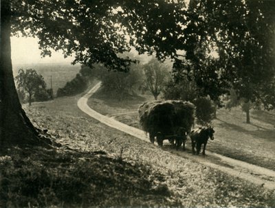 The Last Load, 1936 by Unbekannt