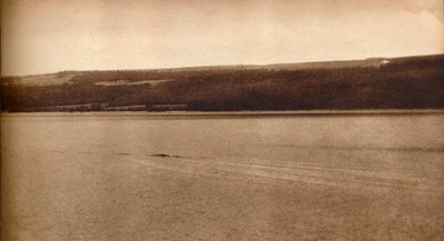 The Loch Ness Monster by Unbekannt