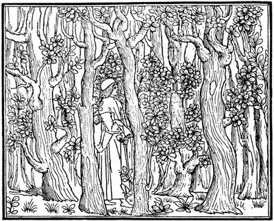 The Lover in the Wood by Unbekannt