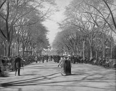 The Mall, Central Park, New York by Unbekannt