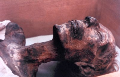 The Mummy of Rameses II, Egypt, 1213 BC by Unbekannt