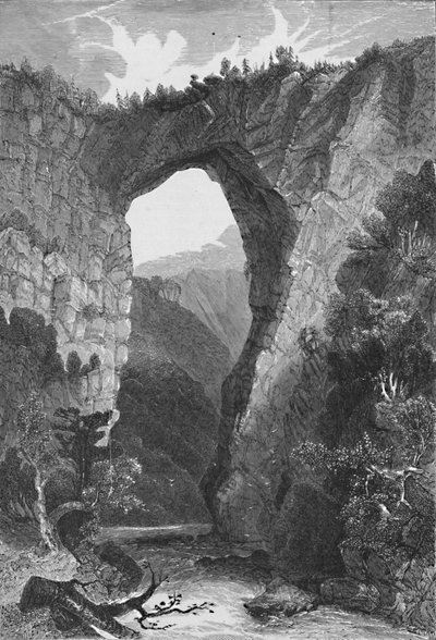 The Natural Bridge, Virginia, 1883 by Unbekannt