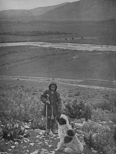 The Plain of Marathon, 1913 by Unbekannt