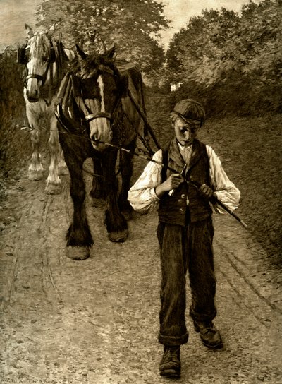 The Plough Boy by Unbekannt