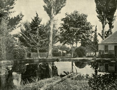 The Salmon Ponds, New Norfolk, 1901 by Unbekannt