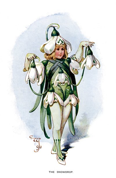 The Snowdrop, 1899 by Unbekannt
