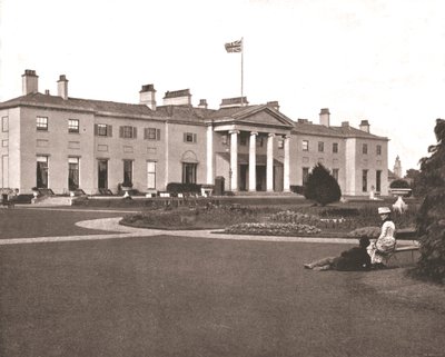 The Viceroy
