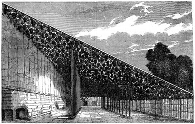 The Vinery at Hampton Court by Unbekannt