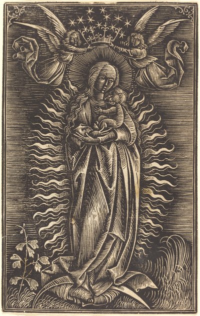 The Virgin Crowned by Two Angels by Unbekannt