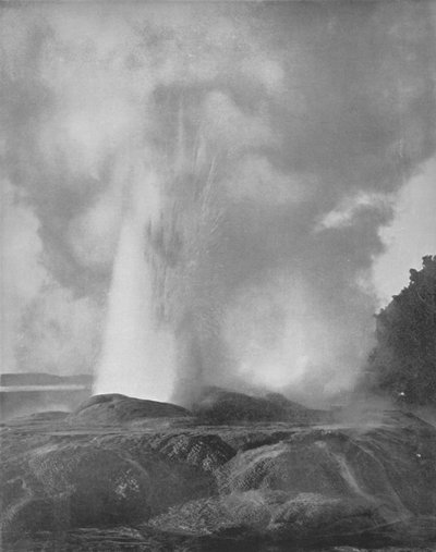 The Waikite Geyser by Unbekannt