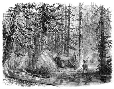 The Woods before the Emigrant, 1900 by Unbekannt