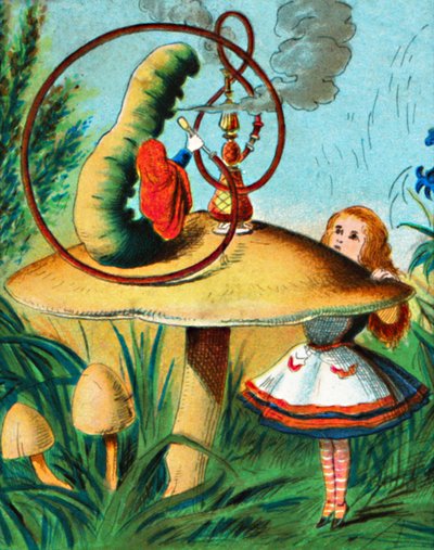 The Caterpillar on His Mushroom, 1900 by Unbekannt