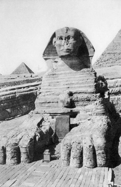 The excavated Sphinx, Cairo, Egypt by Unbekannt