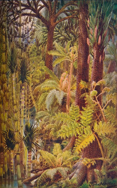 The Gigantic Vegetation of the Carboniferous Age by Unbekannt