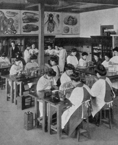The Higher Education of Women in Japan, 1910 by Unbekannt